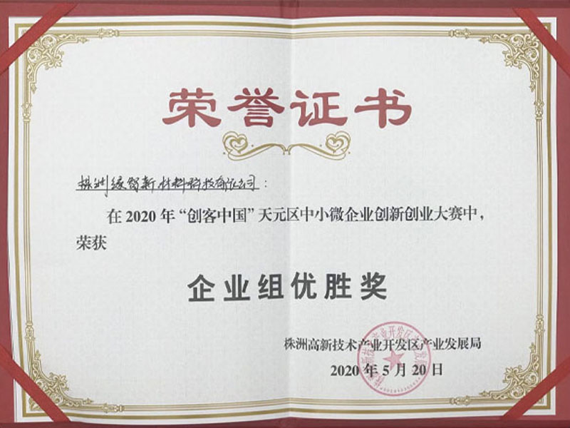 创新大赛优胜奖
